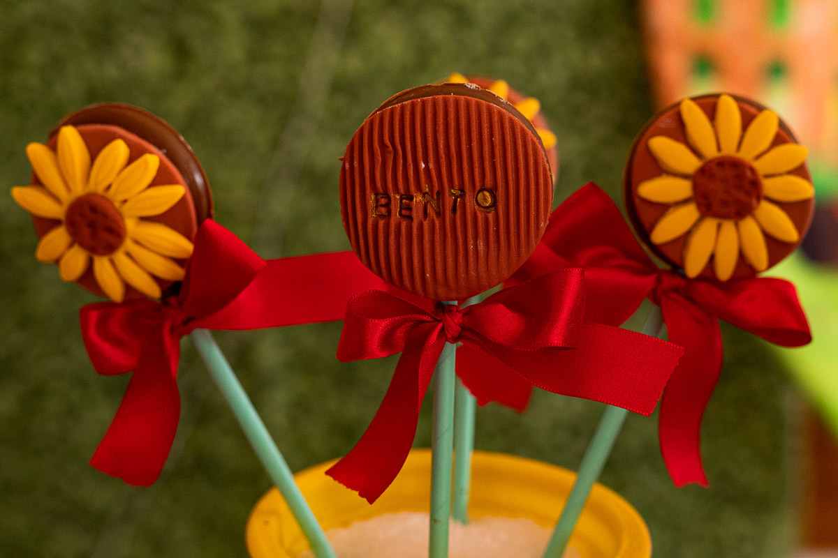 Fotografia de Aniversário Infantil, tema fazendinha, Fotografia Documental de família, fotografia de aniversário Rio de Janeiro