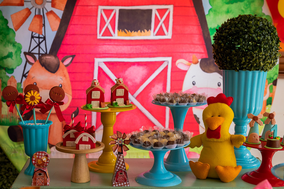 Fotografia de Aniversário Infantil, tema fazendinha, Fotografia Documental de família, fotografia de aniversário Rio de Janeiro