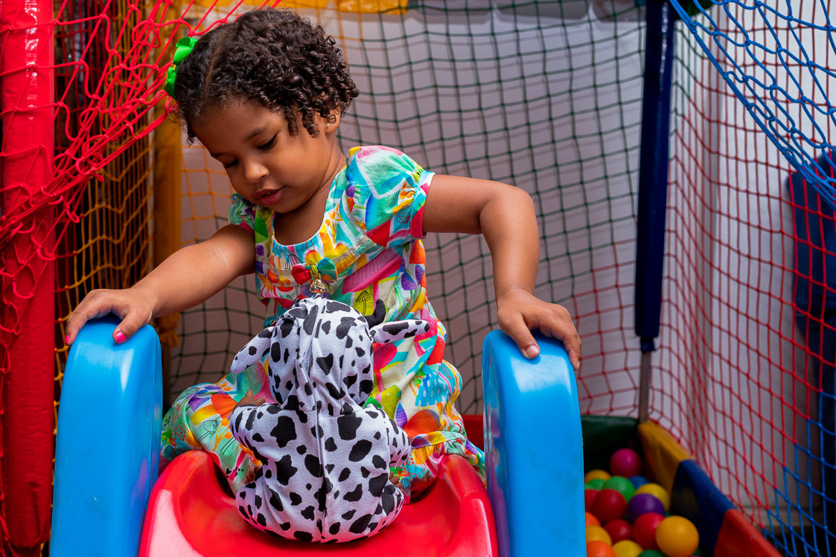 Aniversário Infantil em casa, Rio de Janeiro, Tema Fazendinha, criança brincando na piscina de bola