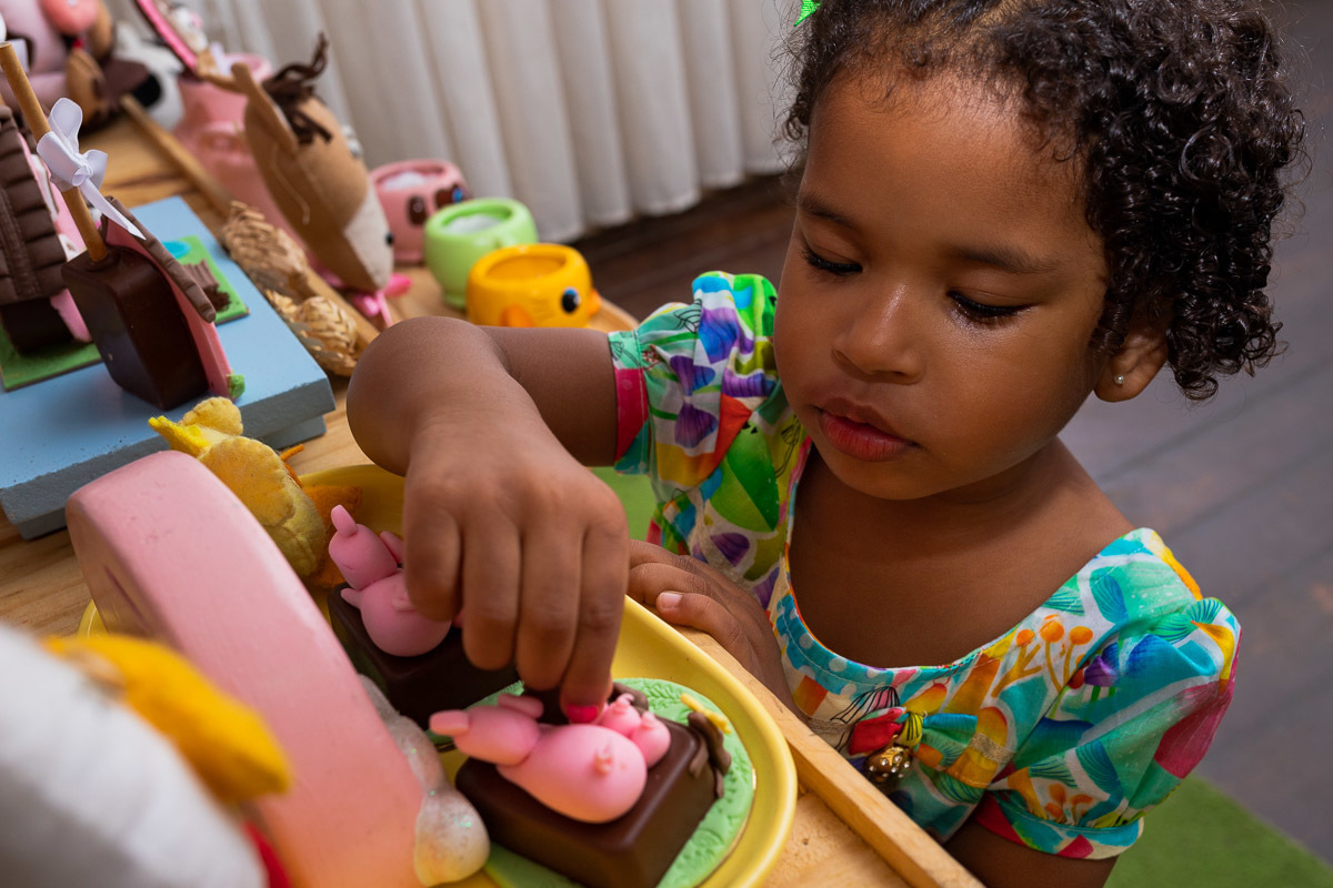 Aniversário Infantil em casa, Rio de Janeiro, Tema Fazendinha, criança na mesa do bolo