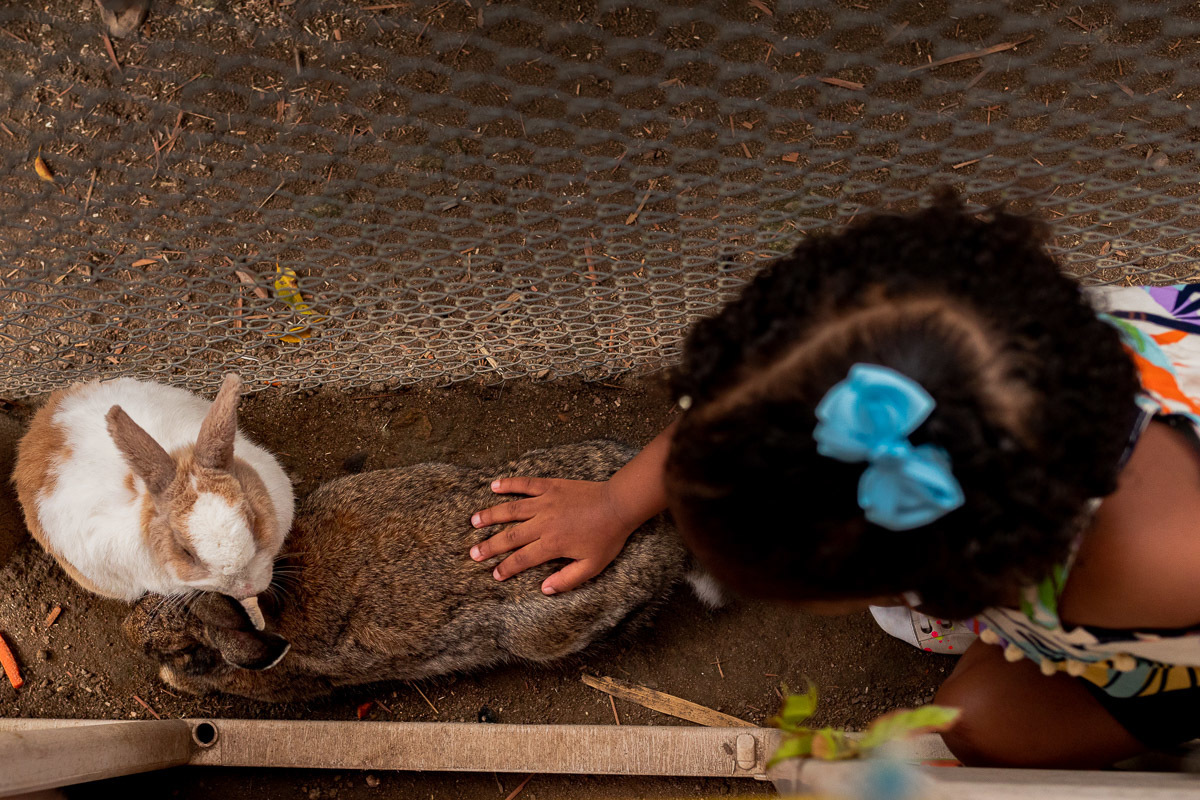 Fotografia Documental de Família Rio de Janeiro, Fazendinha Rio, Ensaio de Família, Carol Salgado Fotografia