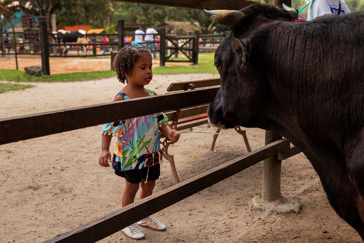 Fotografia Documental de Família Rio de Janeiro, Fazendinha Rio, Ensaio de Família, Carol Salgado Fotografia