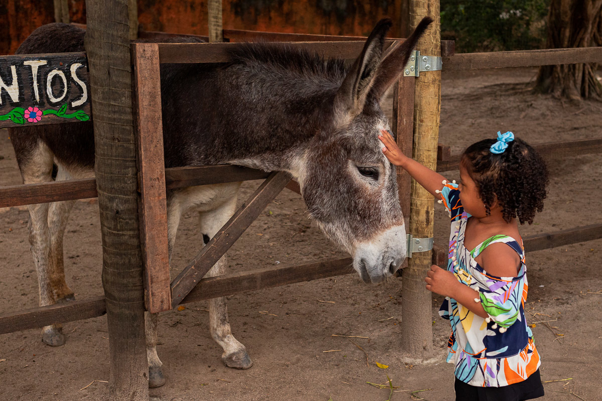Fotografia Documental de Família Rio de Janeiro, Fazendinha Rio, Ensaio de Família, Carol Salgado Fotografia