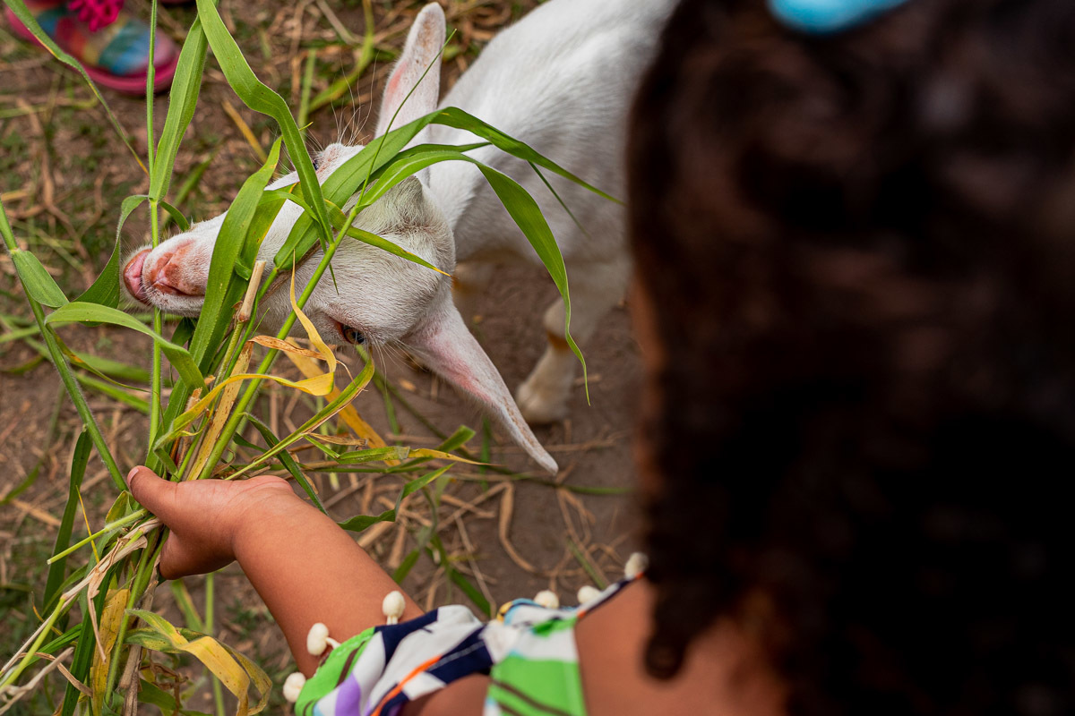 Fotografia Documental de Família Rio de Janeiro, Fazendinha Rio, Ensaio de Família, Carol Salgado Fotografia