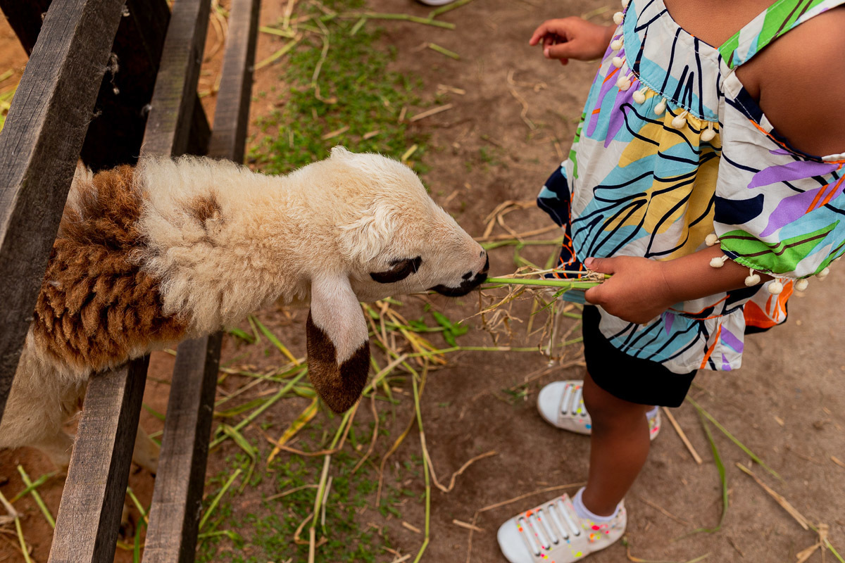 Fotografia Documental de Família Rio de Janeiro, Fazendinha Rio, Ensaio de Família, Carol Salgado Fotografia