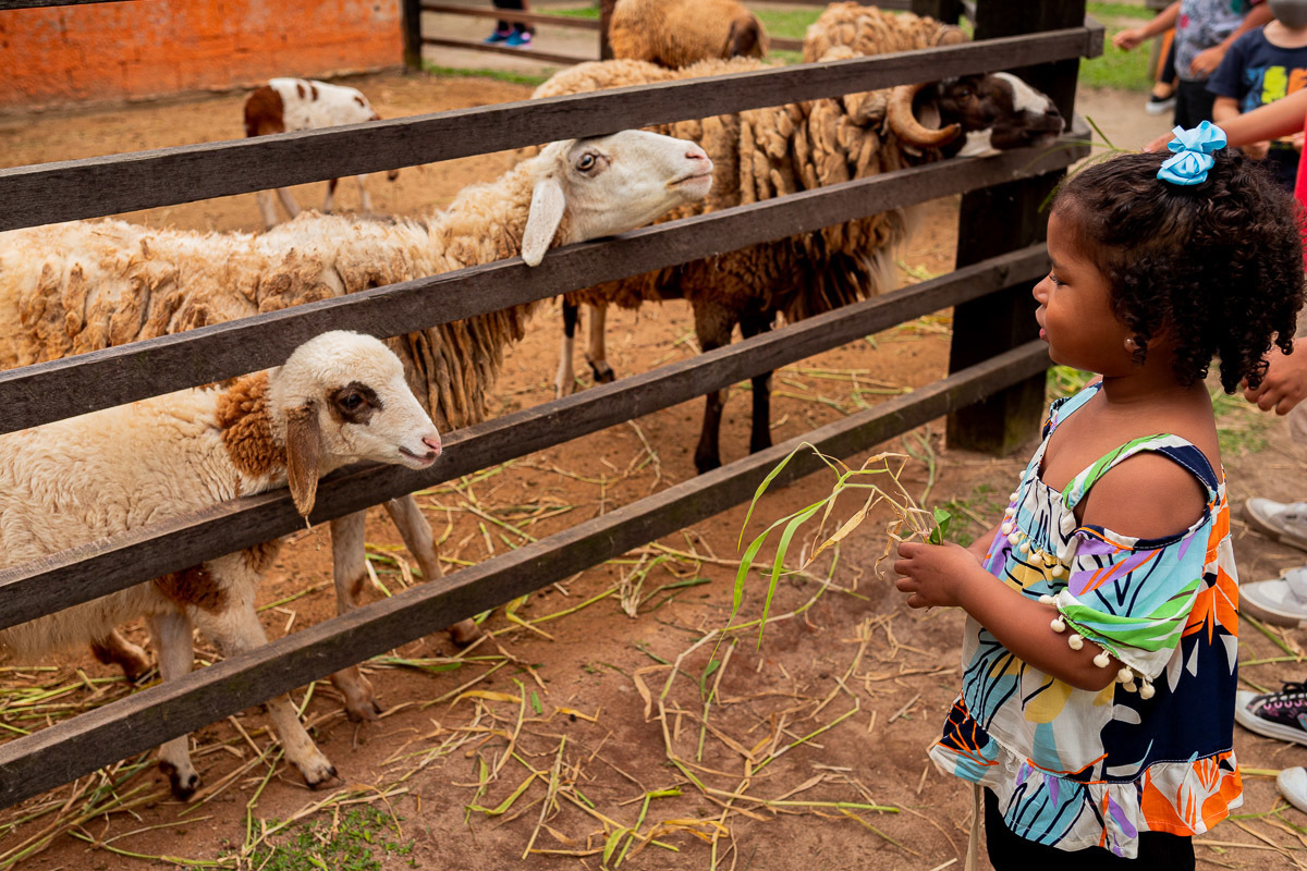 Fotografia Documental de Família Rio de Janeiro, Fazendinha Rio, Ensaio de Família, Carol Salgado Fotografia