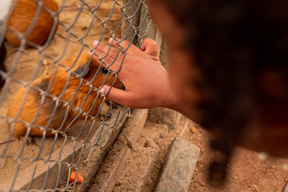 Fotografia Documental de Família Rio de Janeiro, Fazendinha Rio, Ensaio de Família, Carol Salgado Fotografia