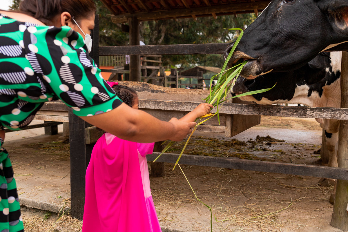 Fotografia Documental de Família Rio de Janeiro, Fazendinha Rio, Ensaio de Família, Carol Salgado Fotografia