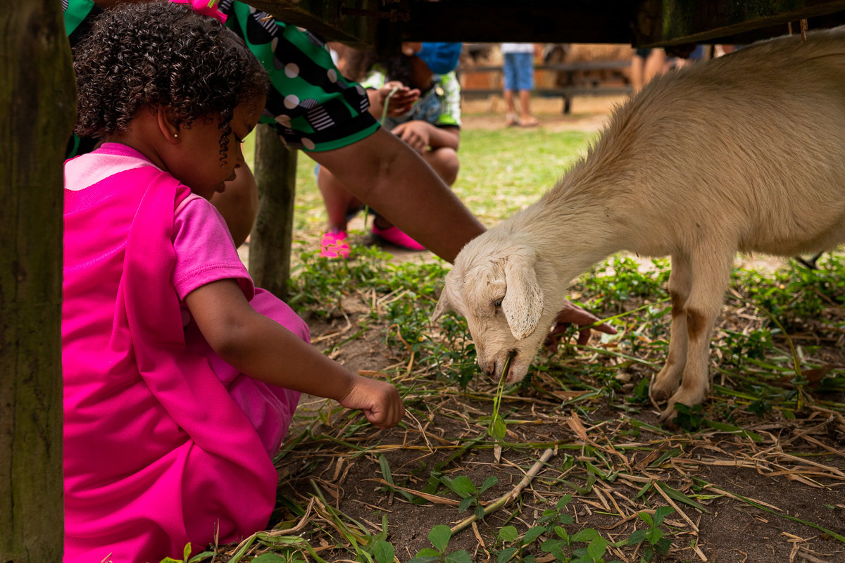 Fotografia Documental de Família Rio de Janeiro, Fazendinha Rio, Ensaio de Família, Carol Salgado Fotografia