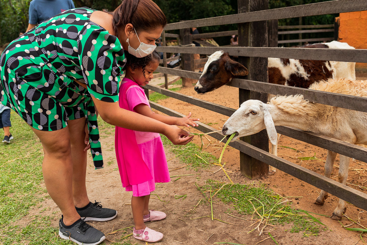 Fotografia Documental de Família Rio de Janeiro, Fazendinha Rio, Ensaio de Família, Carol Salgado Fotografia