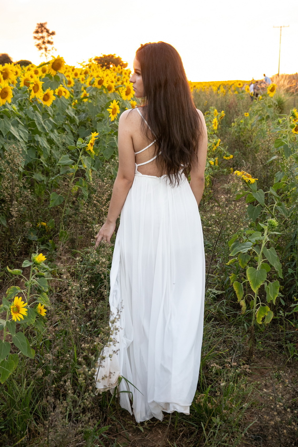 Sarah e Wanderley ensaio pré wedding love ensaio romantico casamento noivado vou casar noiva fotografia de casamento my wed moda bridal noivos NUBS NOIVAS DE BRASILIA VOU CASAR VIREI NOIVA VESTIDO @DRESSSTOREBSB FOTOGRAFO DE CASAMENTO