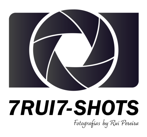 Logotipo de Rui Manuel Pereira