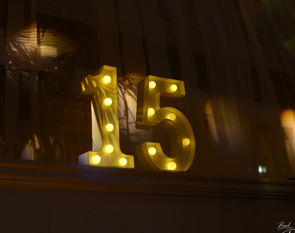 15 Anos de Isabele Vergani