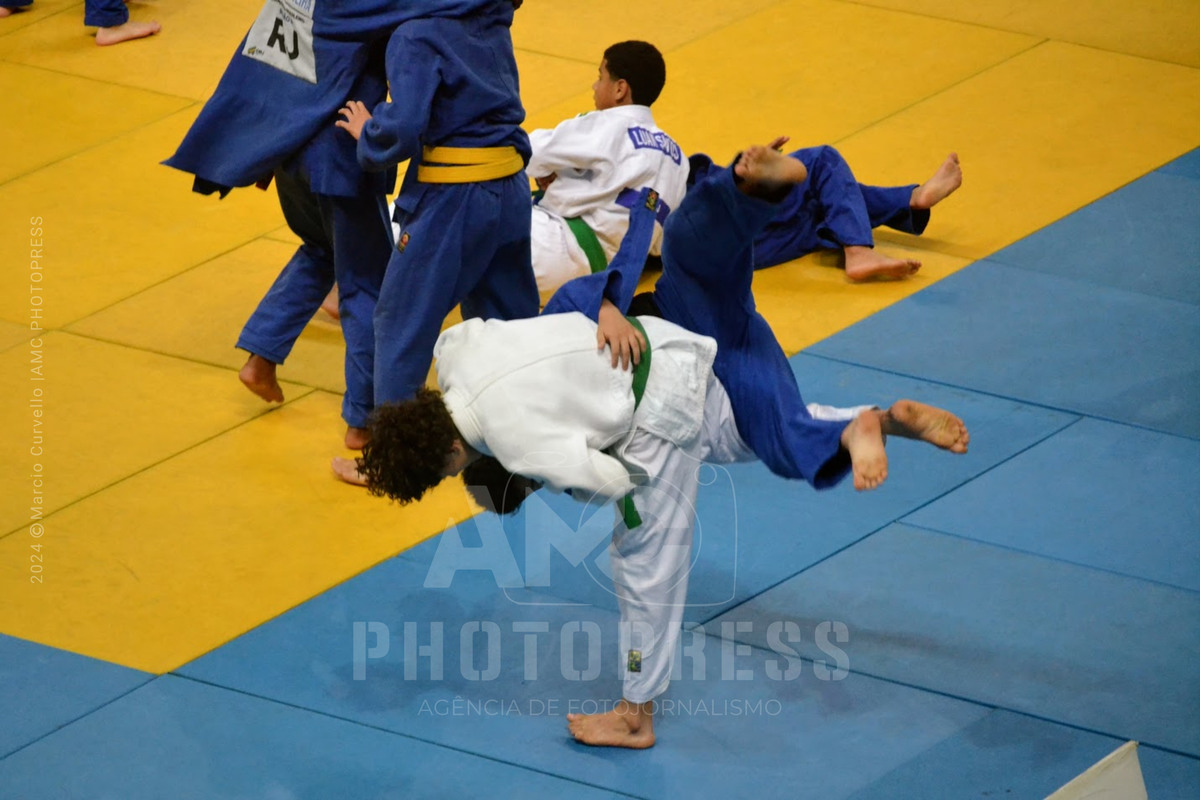 2024 © AMC Photopress. Todos os direitos reservados - Lei 9610/98