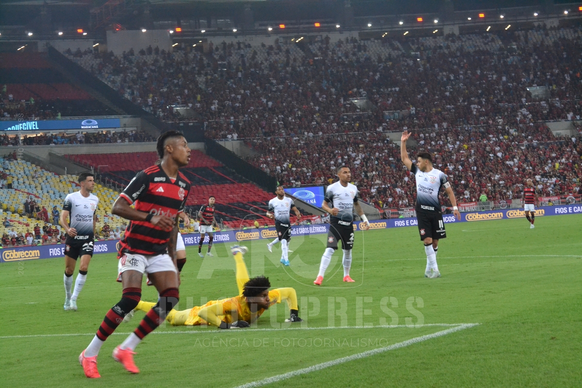  Foto: Marcio Curvello
2024 © AMC Photopress. Todos os direitos reservados – Lei 9.610/98.