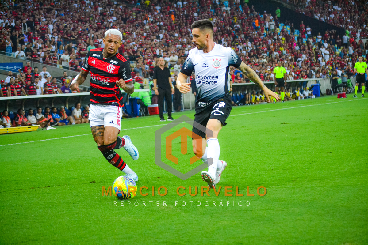 2025 © AMC Photopress. Todos os direitos reservados - Lei 9610/98