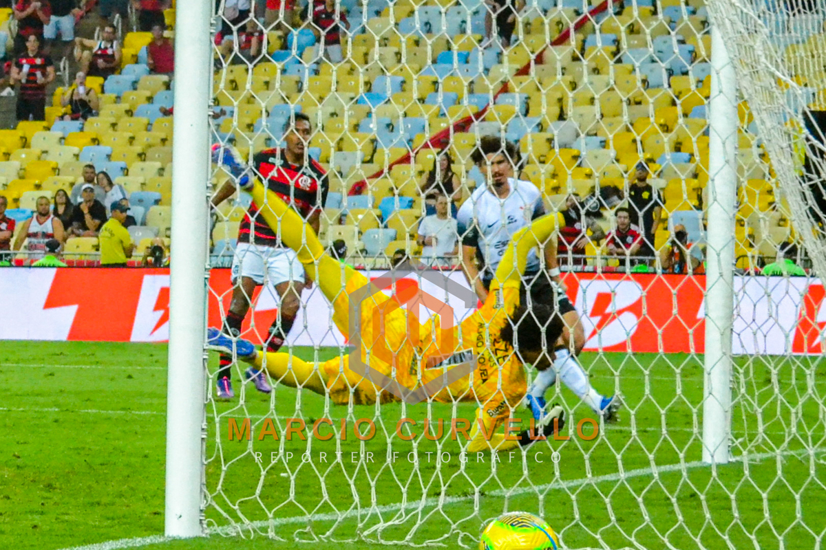 2025 © AMC Photopress. Todos os direitos reservados - Lei 9610/98