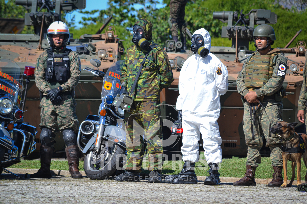 2025 © Marcio Curvello. Todos os direitos reservados - Lei 9610/98