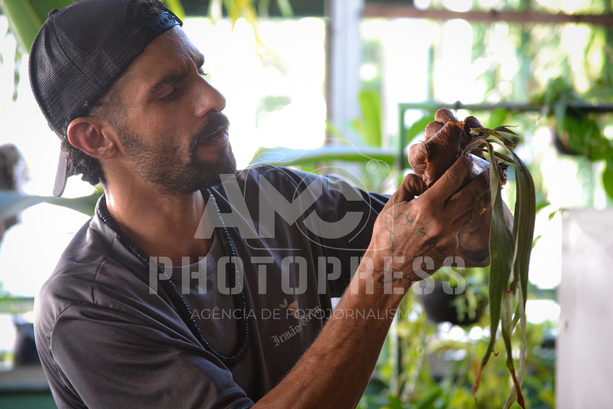 2025 © Marcio Curvello. AMC Photopress. Todos os direitos reservados – Lei 9.610/98