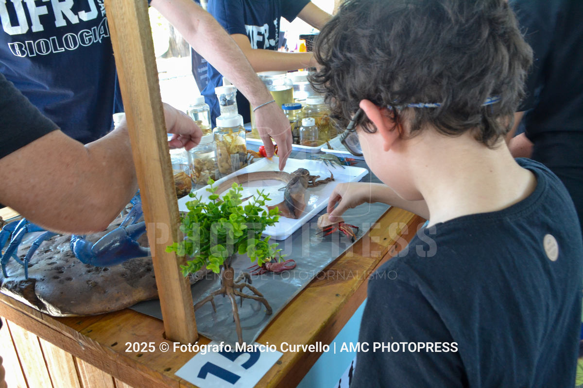 Foto: @fotografomarciocurvello 
2025 © AMC Photopress. Todos os direitos reservados - Lei 9610/98