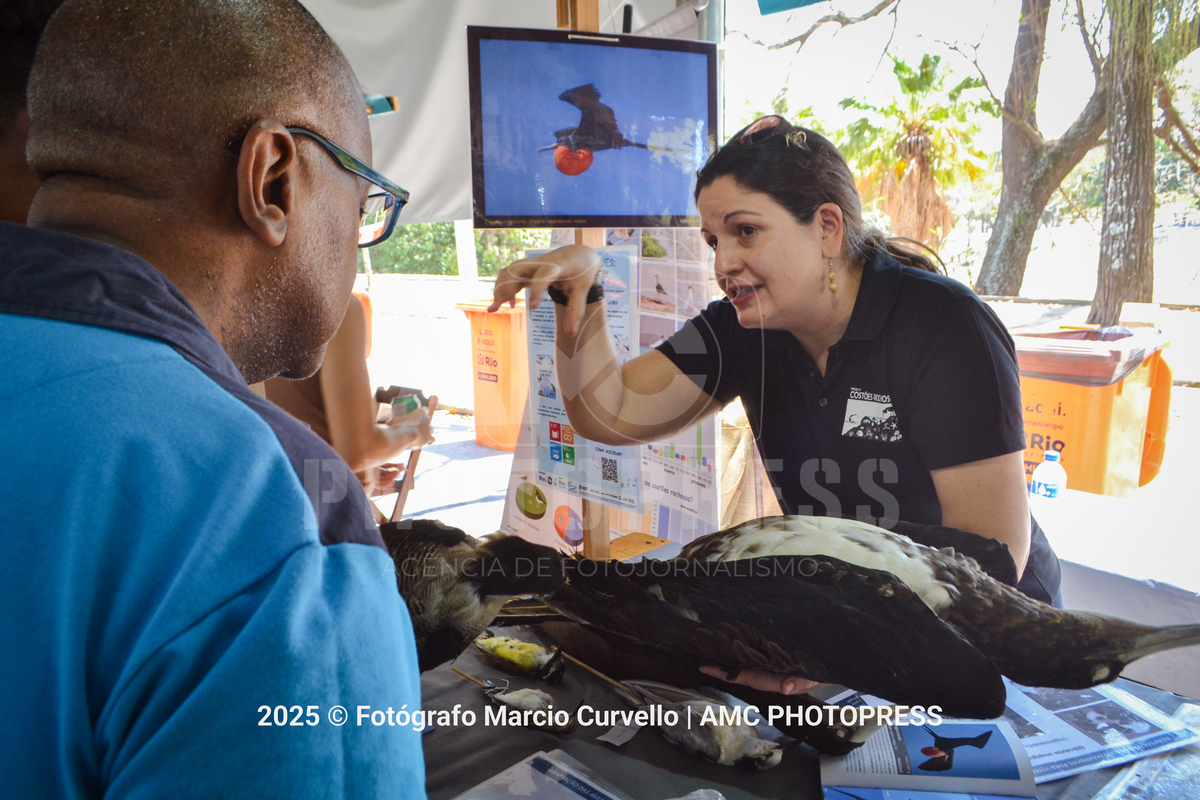 Foto: @fotografomarciocurvello 
2025 © AMC Photopress. Todos os direitos reservados - Lei 9610/98