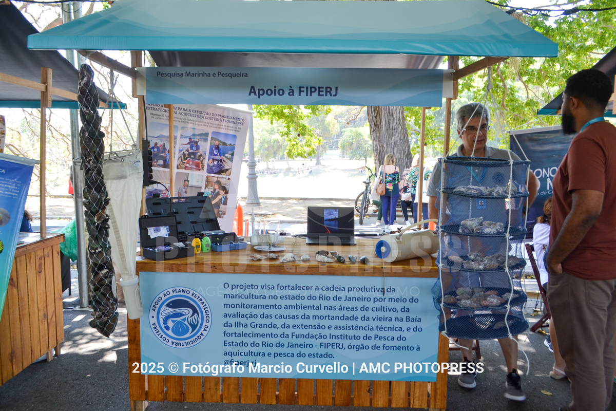 Foto: @fotografomarciocurvello 
2025 © AMC Photopress. Todos os direitos reservados - Lei 9610/98