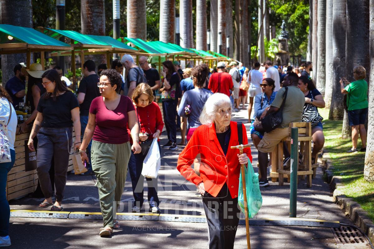 2025 © AMC Photopress. Todos os direitos reservados - Lei 9610/98
