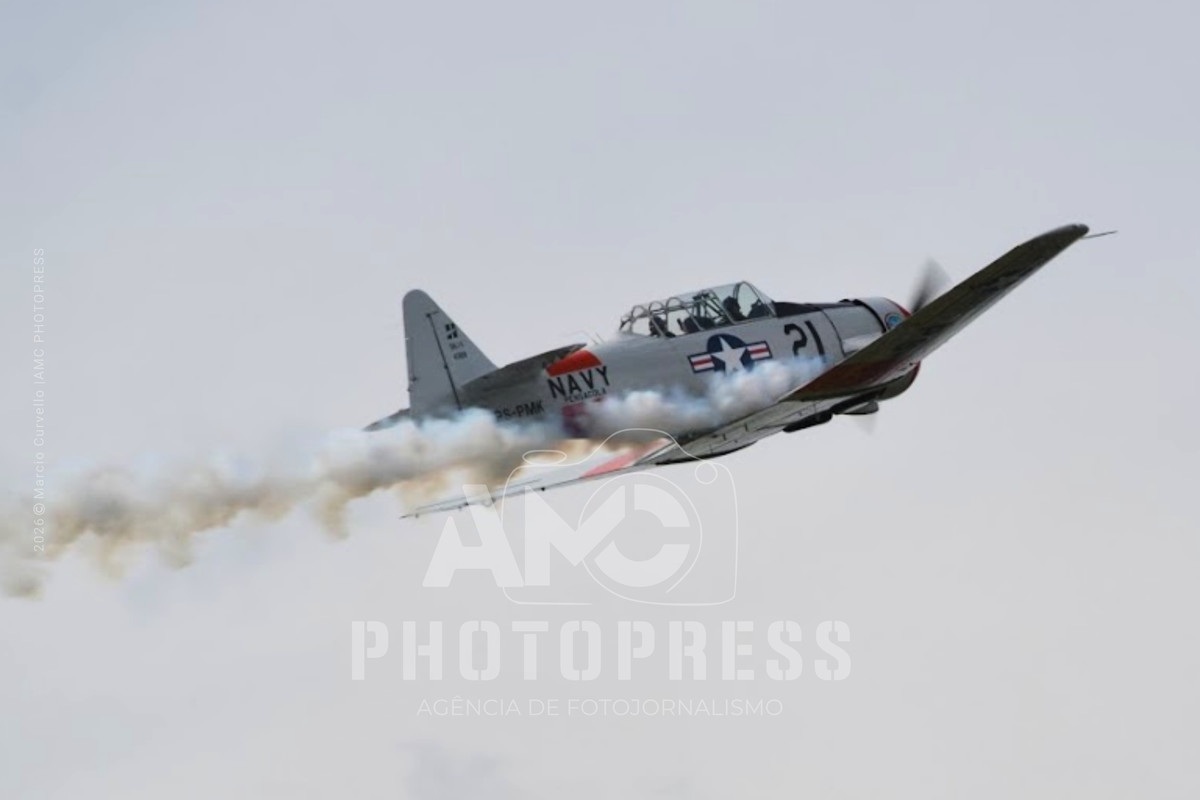 2026 © AMC Photopress. Todos os direitos reservados - Lei 9610/98