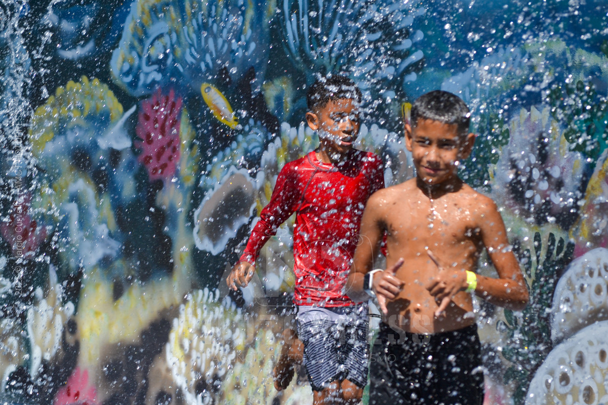 2025 © AMC Photopress. Todos os direitos reservados - Lei 9610/98