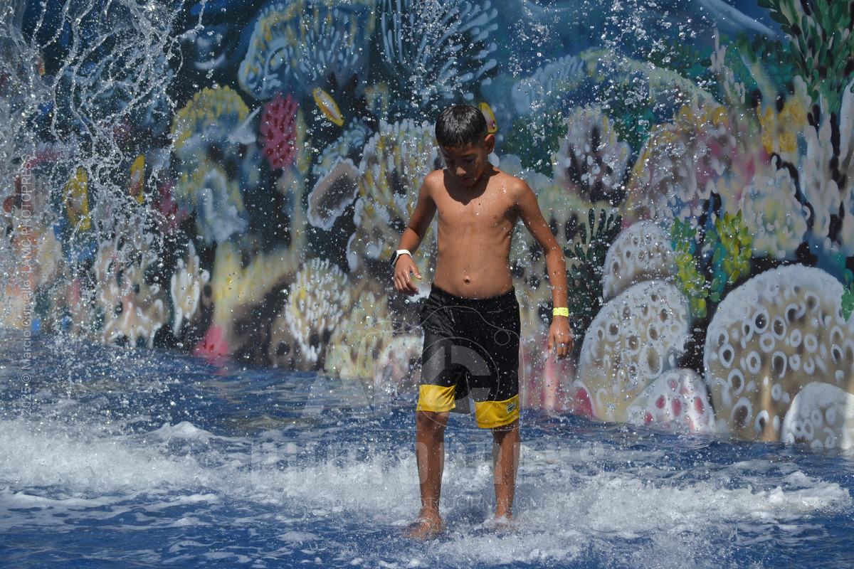 2025 © AMC Photopress. Todos os direitos reservados - Lei 9610/98