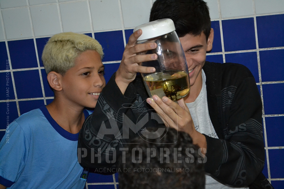 2023 © AMC Photopress. Todos os direitos reservados - Lei 9610/98