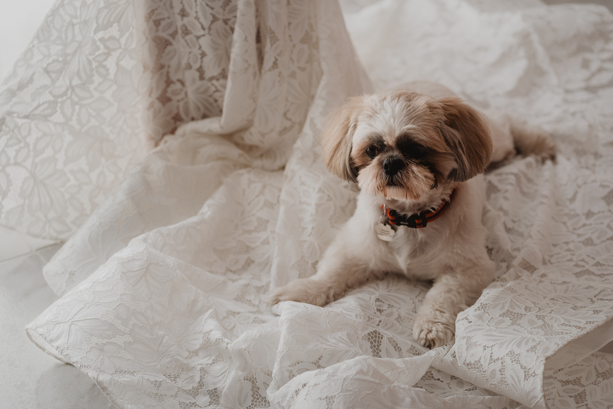 casamento Vera & Rodrigo, preparativos noiva, casamento em gaia.