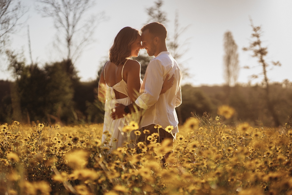 Joana e Tiago, noivos agarrados ao pôr-do-sol num campo de flores amarelas, noivos nos malmequeres, noivos nos girassóis, backlight.