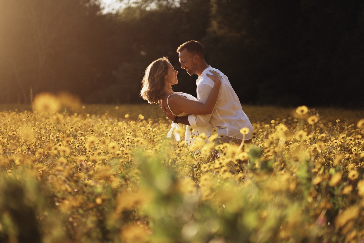 Joana e Tiago, noivos agarrados ao pôr-do-sol num campo de flores amarelas, noivos nos malmequeres, noivos nos girassóis 