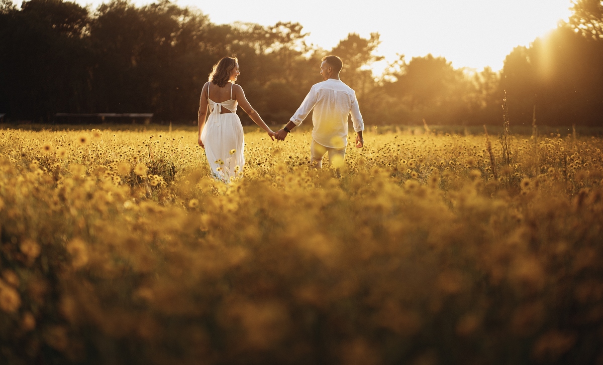 Joana e Tiago, noivos agarrados ao pôr-do-sol num campo de flores amarelas, noivos nos malmequeres, noivos nos girassóis 