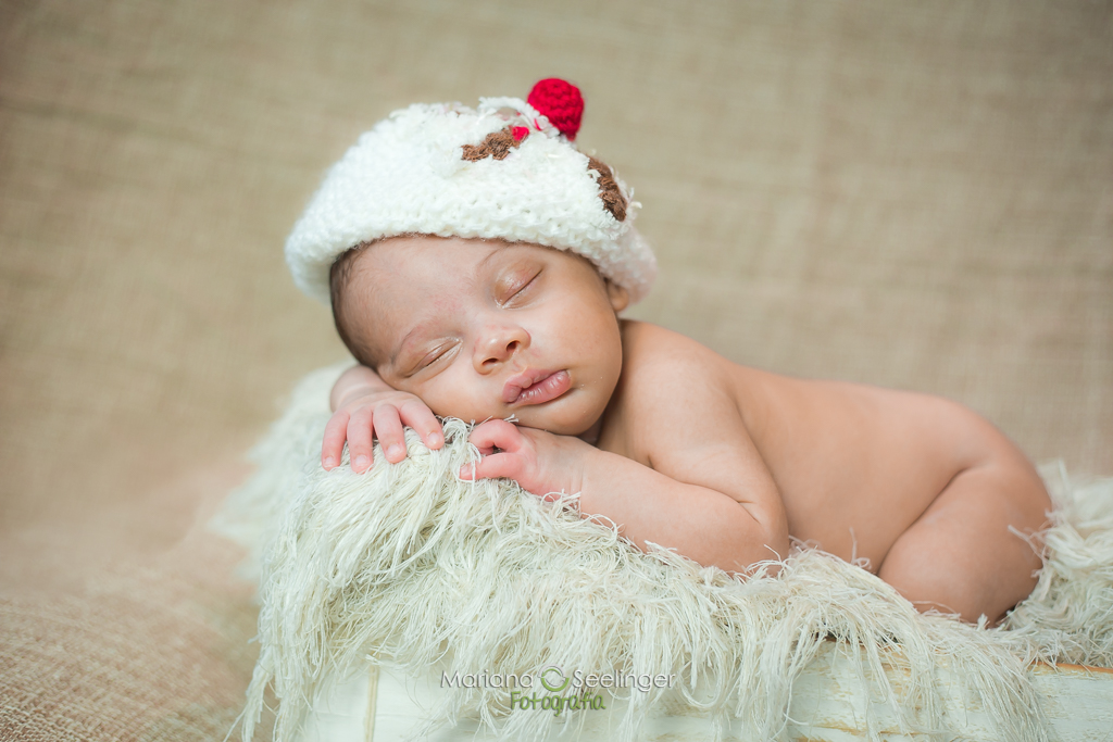 Fotografia newborn de recém nascidos realizada porMariana Seelinger fotógrafa de casamentos e Familias