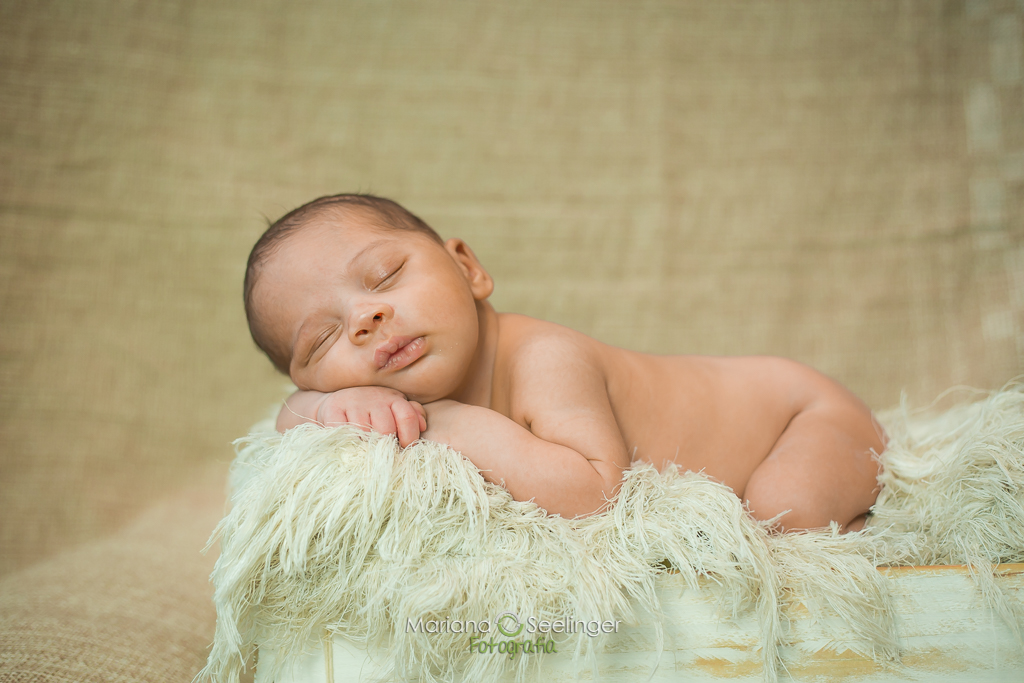 Fotografia newborn de recém nascidos realizada porMariana Seelinger fotógrafa de casamentos e Familias