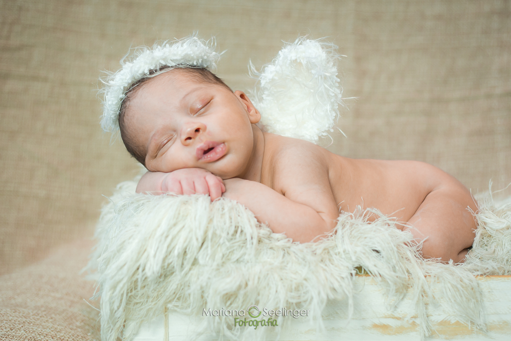 Foto de recém nascido anjinho em sessão fotográfica newborn por Mariana Seelinger Fotografa de casamentos e newborn