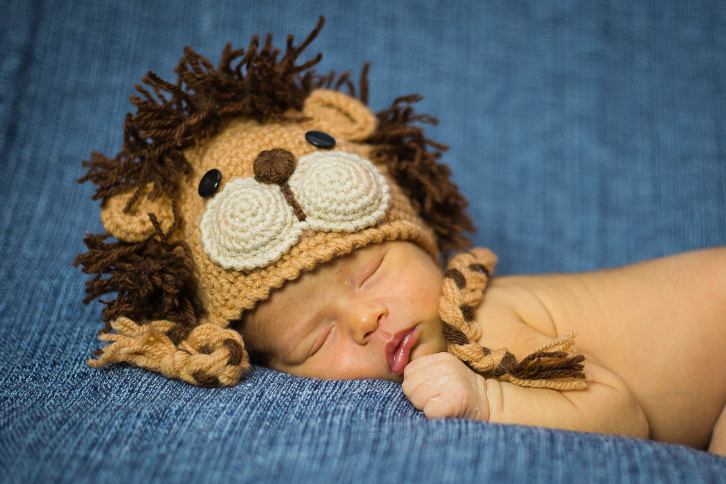 prop leãozinho em Sessão Newborn por Mariana Seelinger Fotógrafa de casamentos e famílias