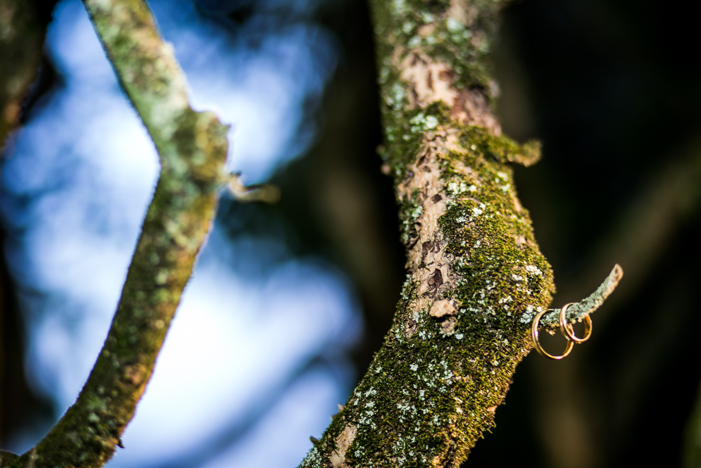 Fotografia de alianças em tronco de árvore em fotojornalismo de casamentos de Mariana Seelinger Fotógrafa de Casamentos em Niterói e RJ