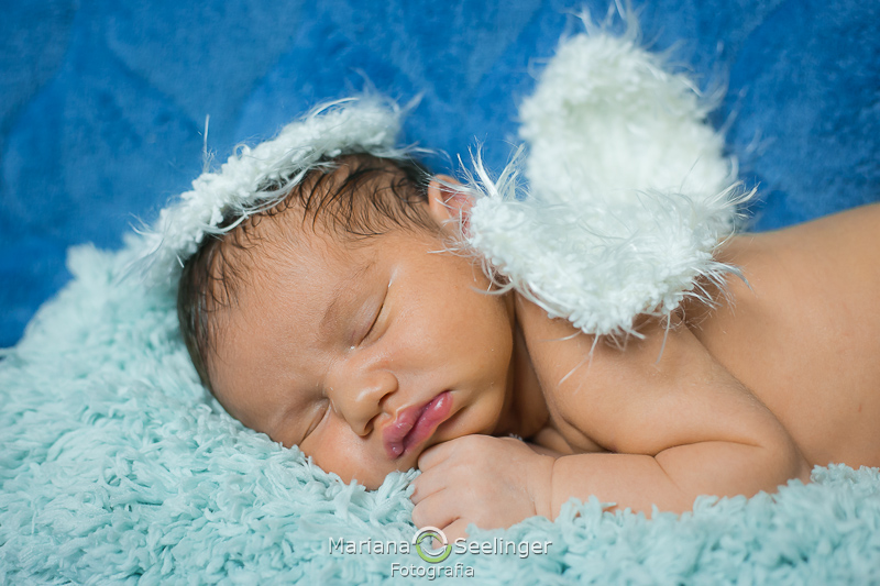 o bebê com asinhas de anjo em ensaio newborn por Mariana Seelinger Fotografia