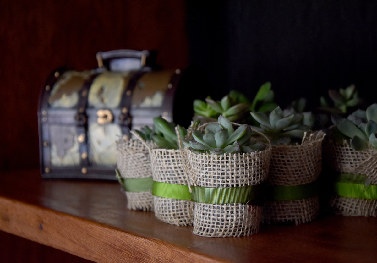 Fotos de Leguminosas