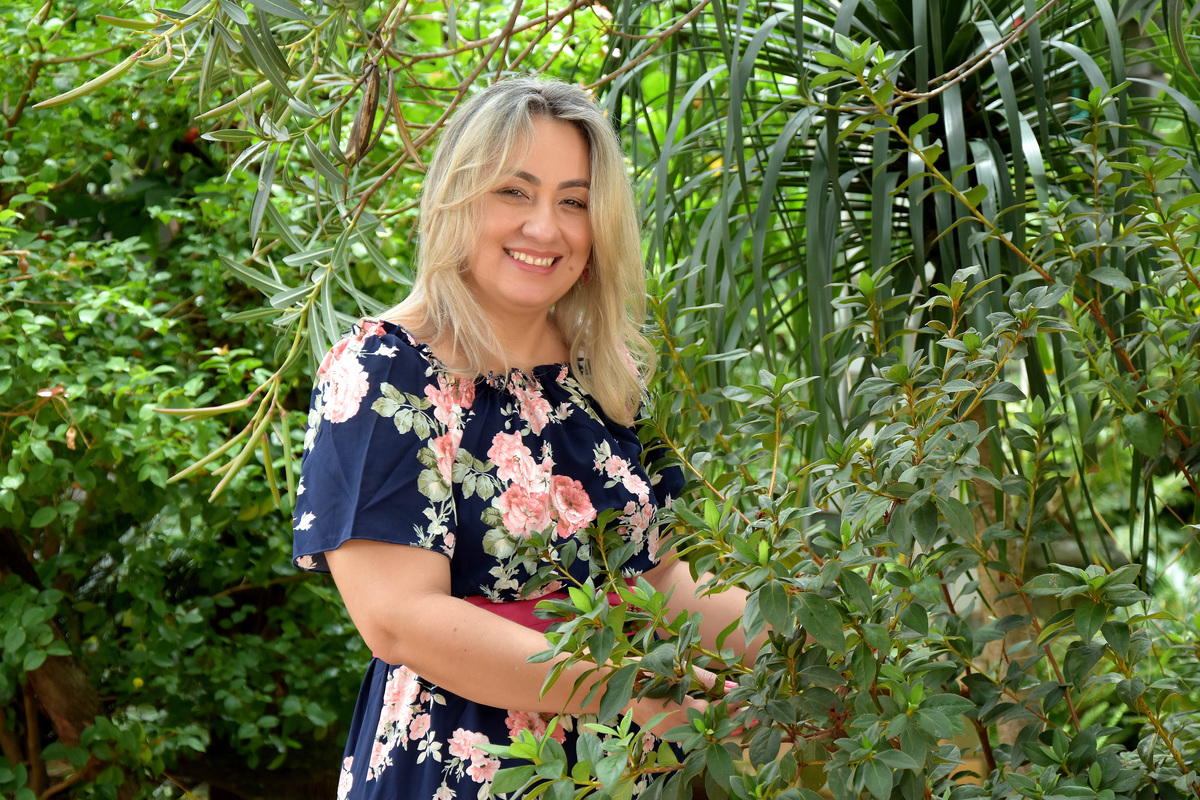 Book Casual de 50 Anos