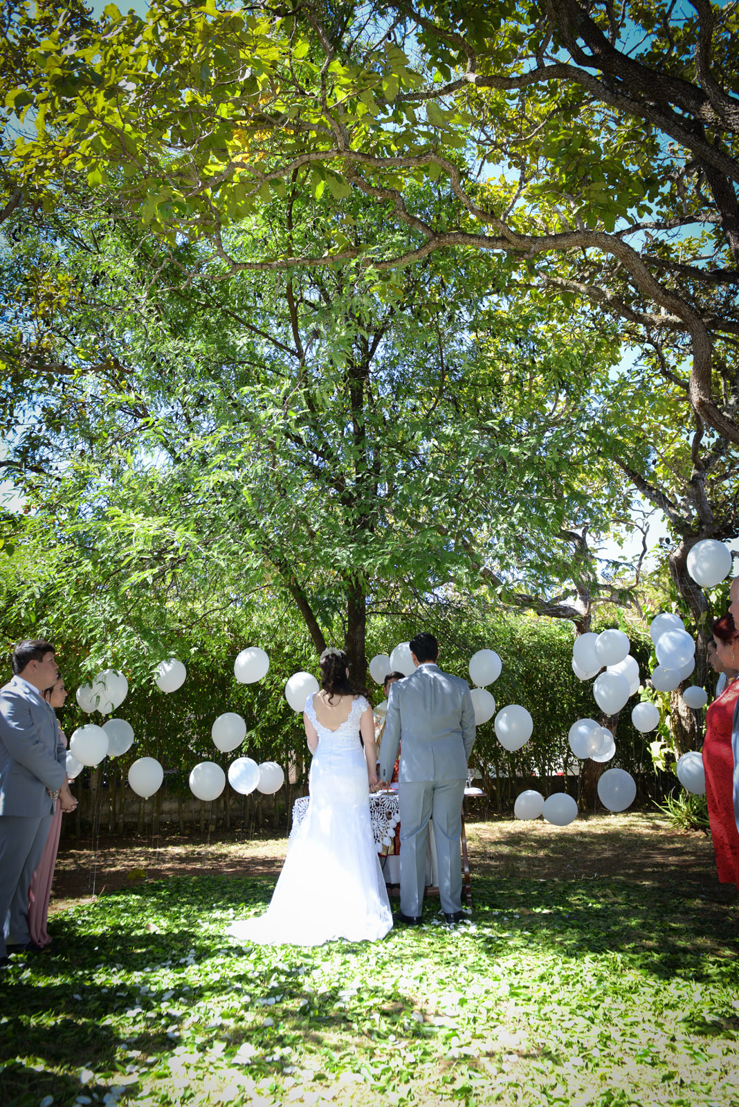 mini-wedding na casa da noiva