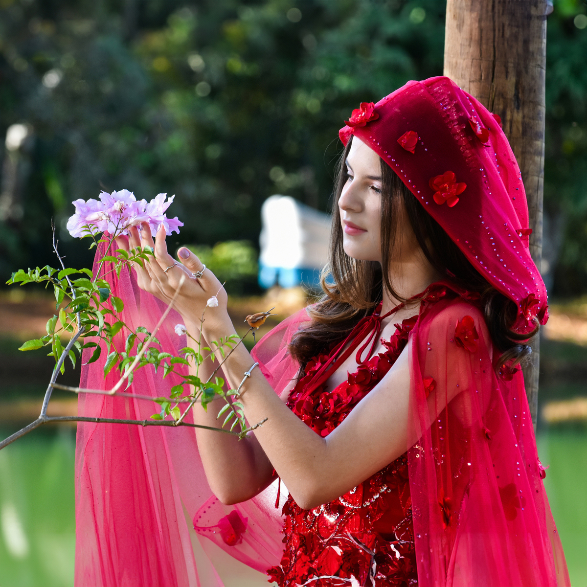 Book fotográfico de 15 anos