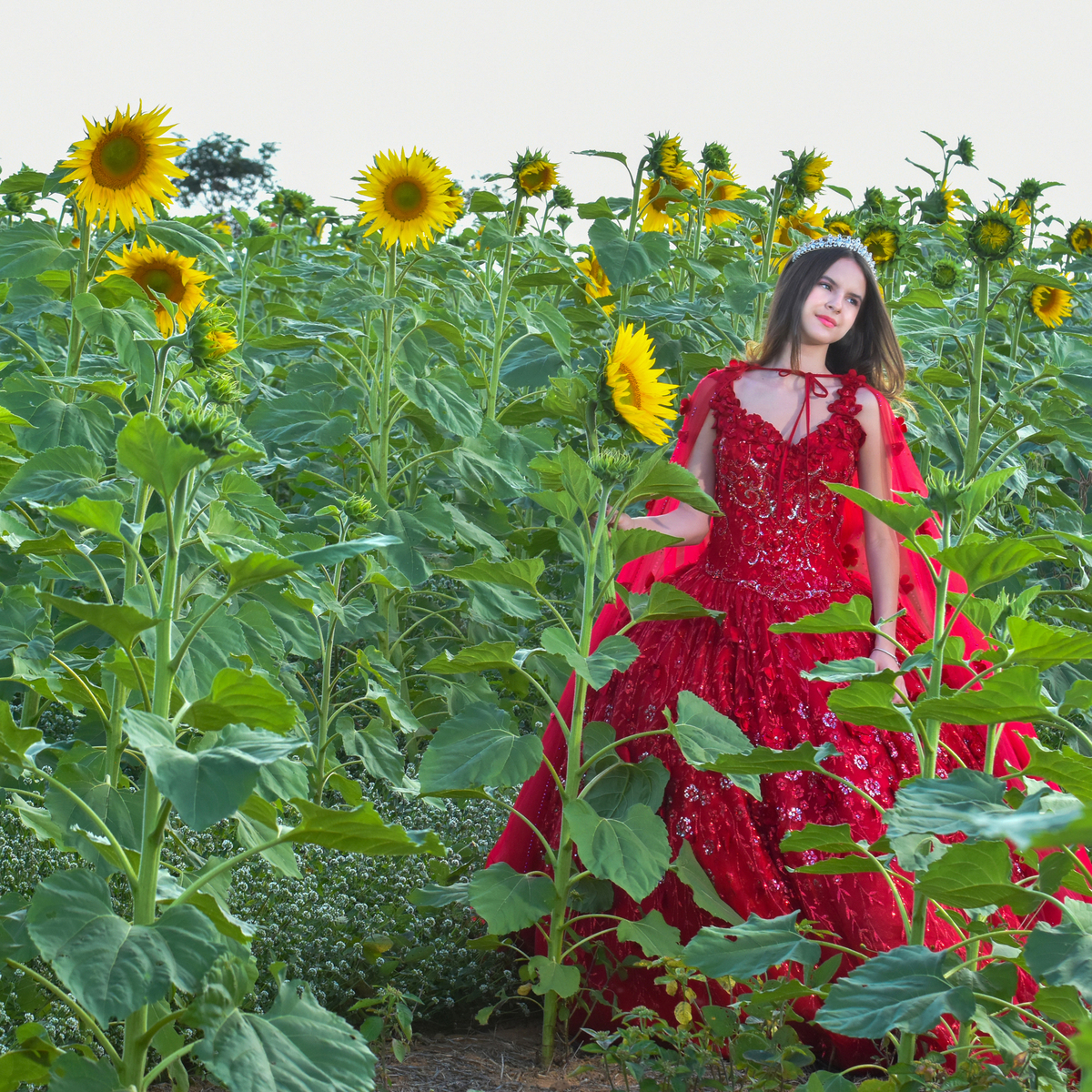 Ensaio fotográfico de Debutante