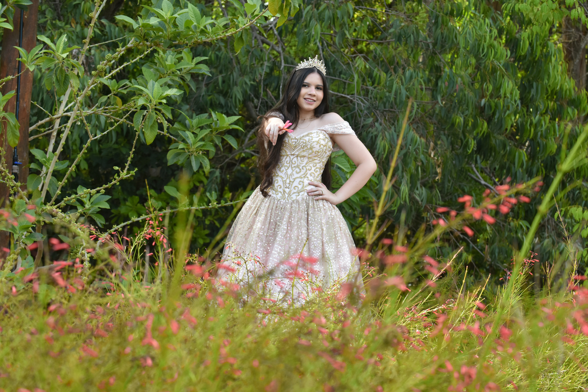 Vestidos de Debutante