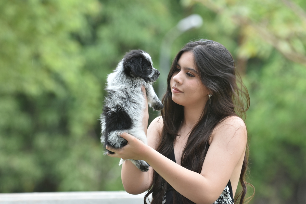 Ensaio fotográfico com pet