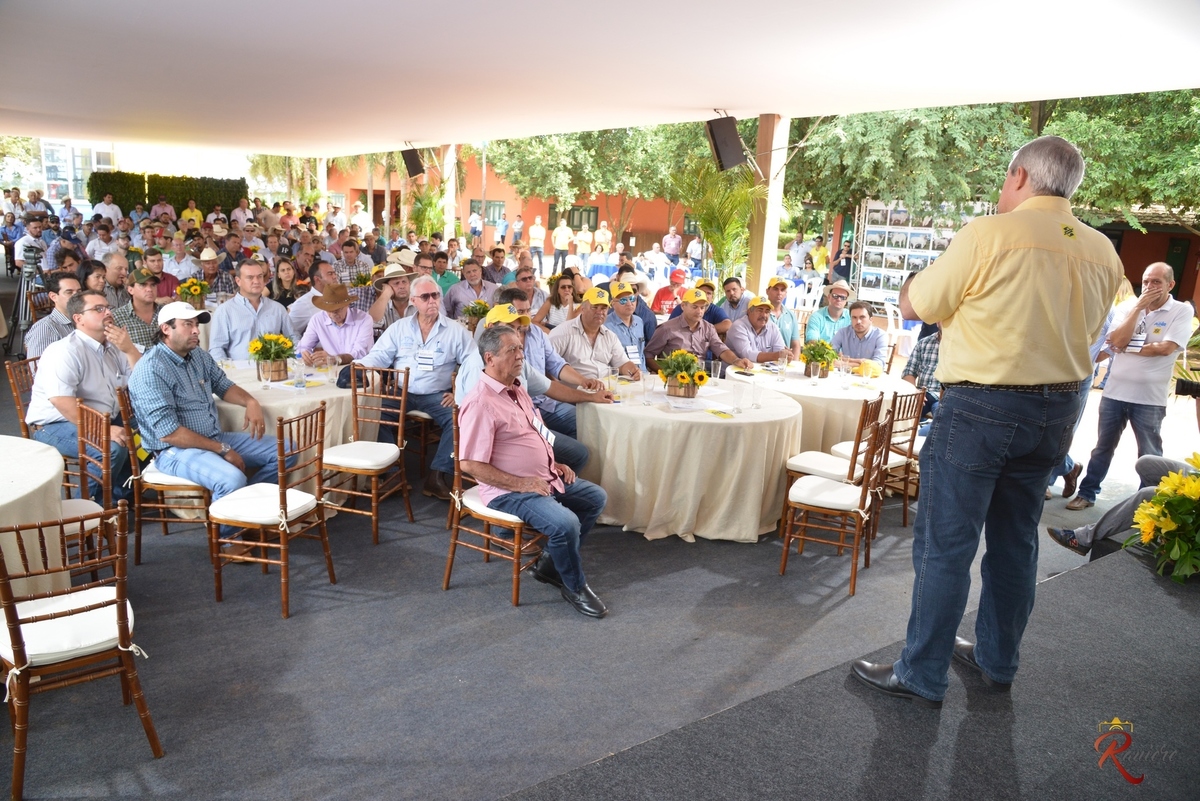 Agro negócios do banco do brasil