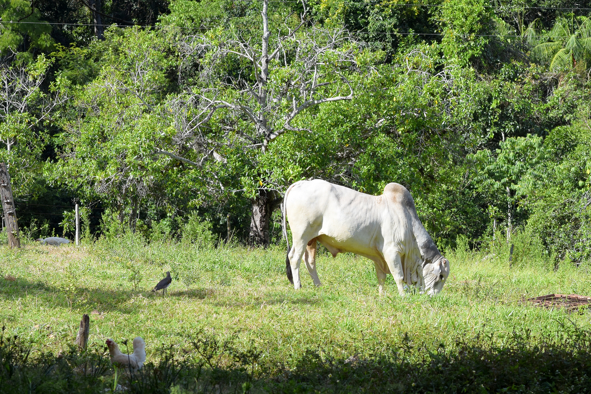Chácaras pra finais de semana em itaberai